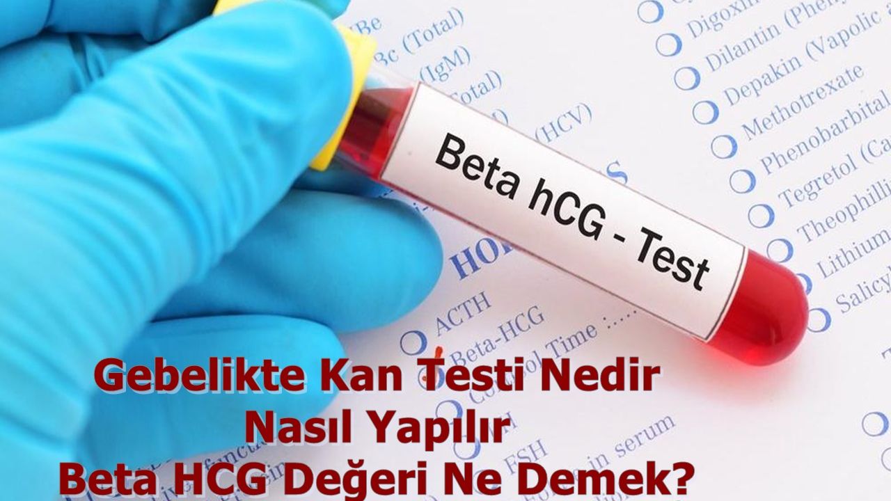 Gebelikte Kan Testi Nedir Nasıl Yapılır Beta HCG Değeri Ne Demek?