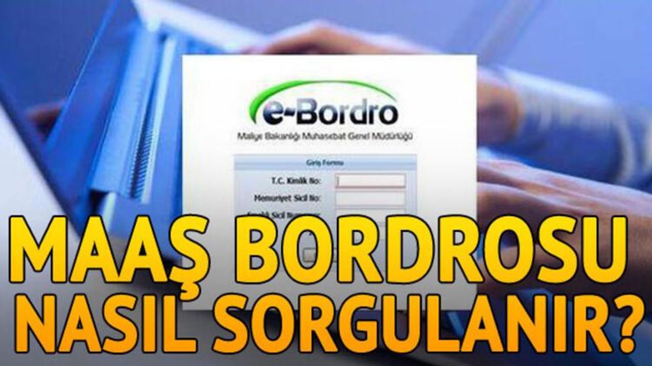 E-bordro - Maliye Bakanlığı maaş sorgulama portalı ile online hizmet veriyor! (2022)