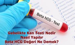 Gebelikte Kan Testi Nedir Nasıl Yapılır Beta HCG Değeri Ne Demek?
