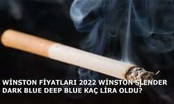 Winston Fiyatları 2022 Winston Dark Blue Deep Blue Kaç Lira Oldu ?