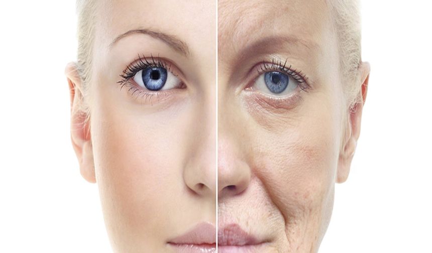 Kadın cildinin gençleşmesi yaşlanma hastalıklarının üstesinden gelebilir